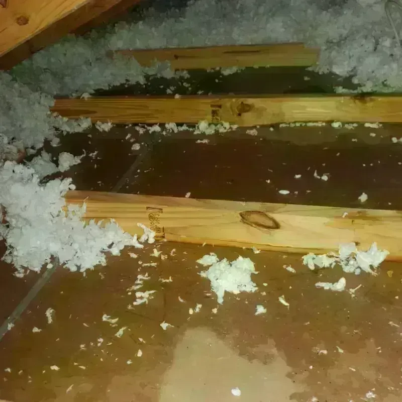 Attic Water Damage in Burlington, CO