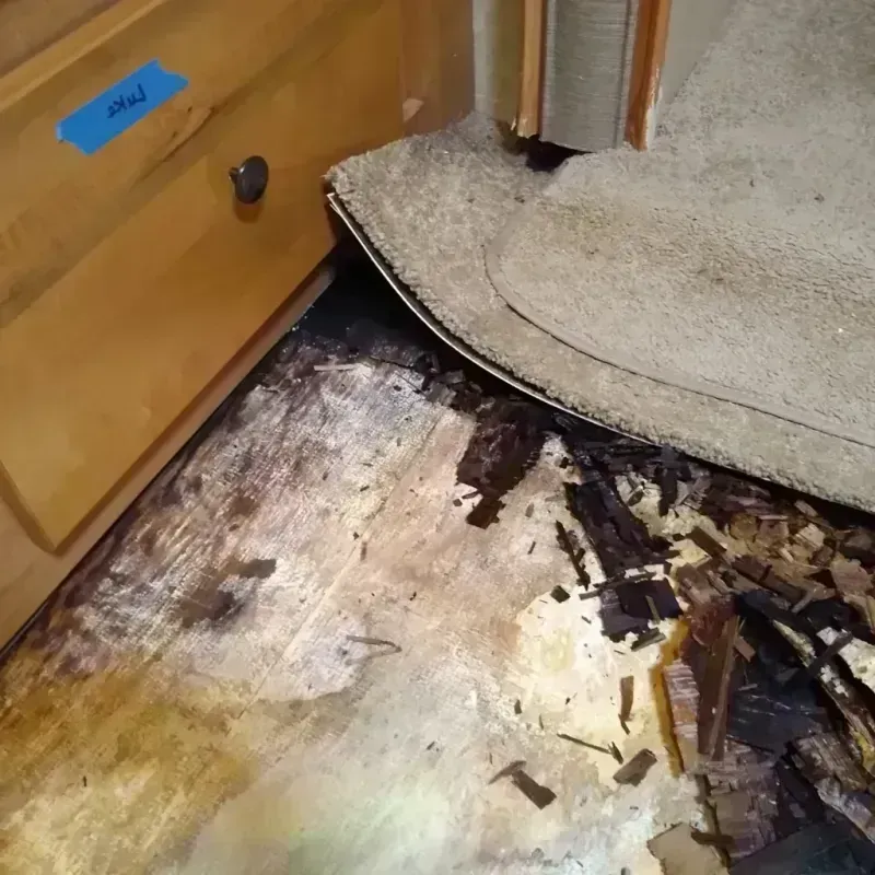 Wood Floor Water Damage in Burlington, CO